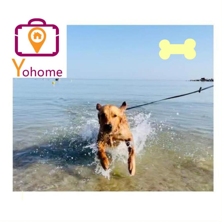 Zara D'Amare A Pesaro 10 Metri Dalla Spiaggia By Yohome المظهر الخارجي الصورة